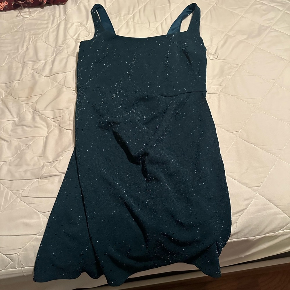 Francesca‘s Dress